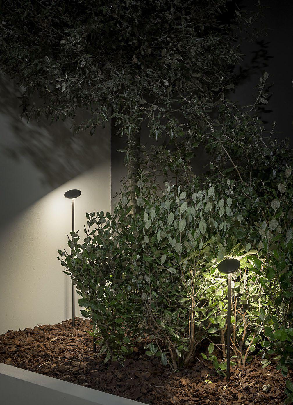Progetto 6 — media 7